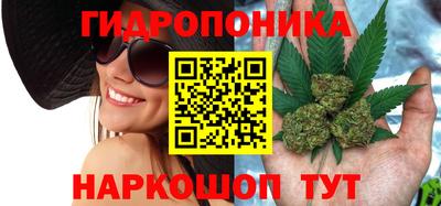 амф Пенза