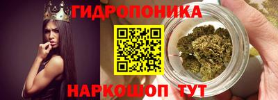 амф Пенза