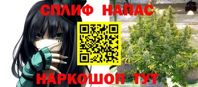 амф Пенза