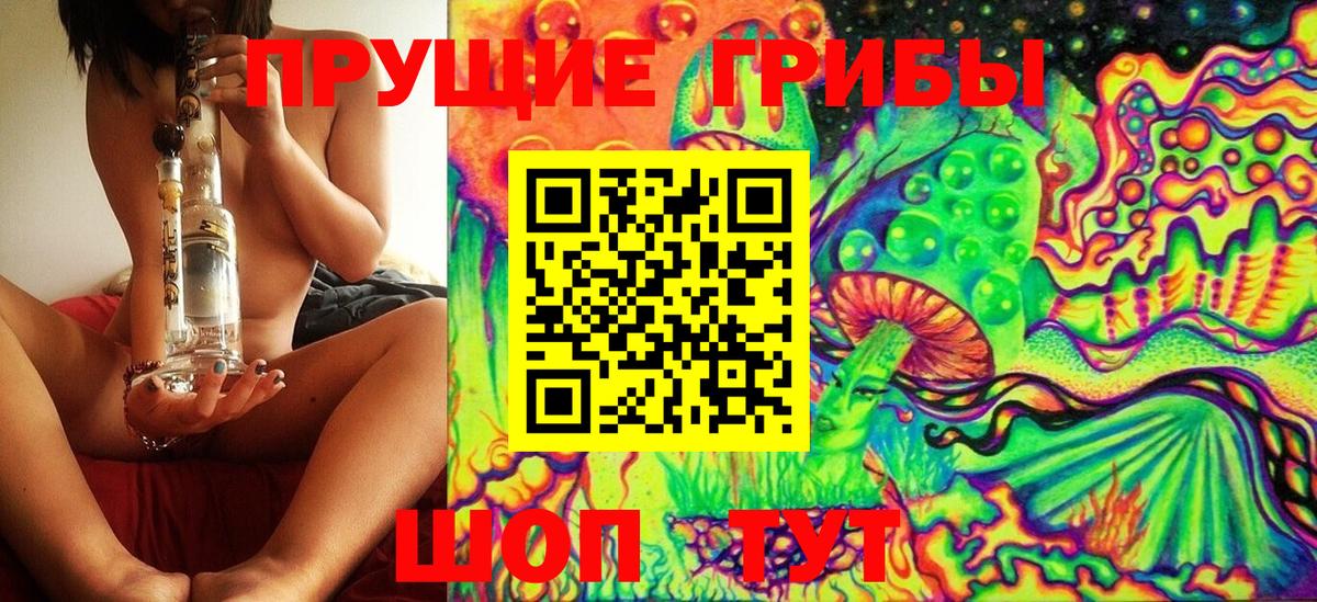 где купить наркоту  Вход с VPN  Саратов  Галлюциногенные грибы GOLDEN TEACHER 